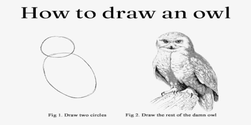 How to Draw an Owl: 1. Draw two circles. 2. Draw the rest of the owl.